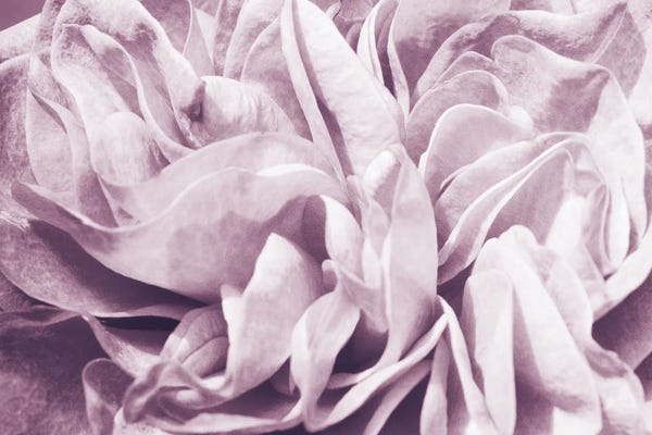 Anita's & Bella's Art: Light Purple Dream I by Anita's & Bella's Art