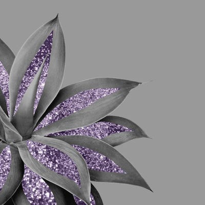 Agave Glitter Glam IV by Anita's & Bella's Art framed canvas print