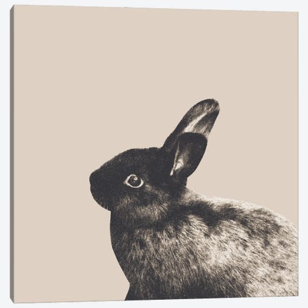 Little Rabbit On Light Beige I Canvas Print #ABM150} by Anita's & Bella's Art Canvas Art Print