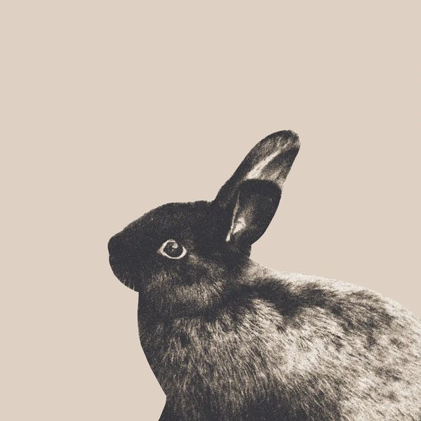 Anita's & Bella's Art: Little Rabbit On Light Beige I by Anita's & Bella's Art