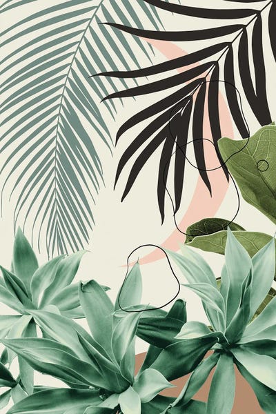 Minimal Moon Agave I Palm Finesse