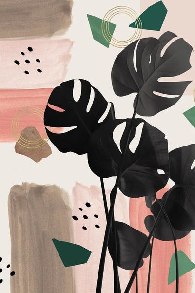 Monstera Summer Glam II