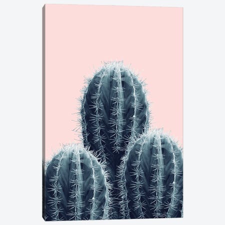 Navy Blue Blush Cacti Love I Canvas Print #ABM169} by Anita's & Bella's Art Canvas Wall Art