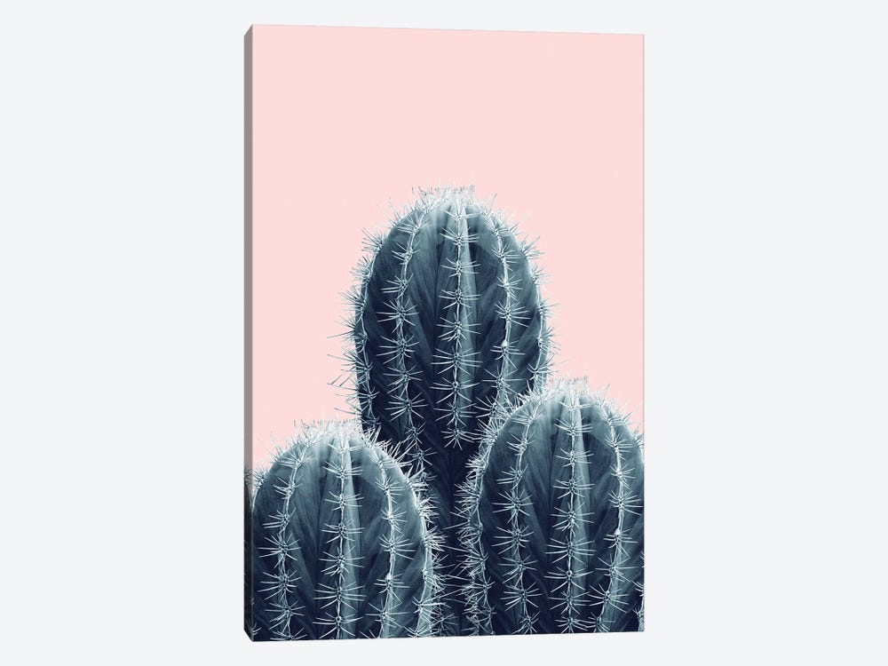 Navy Blue Blush Cacti Love I by Anita's & Bella's Art 1-piece Canvas Art Print