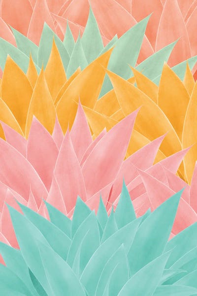 Agave Summer Dream I by Anita's & Bella's Art framed canvas print