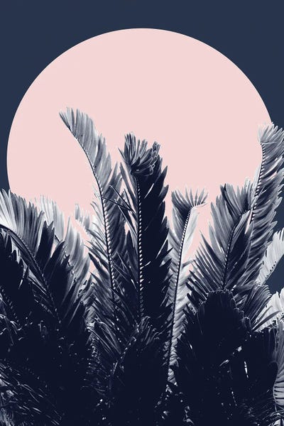 Navy Blue Blush Jungle Night I