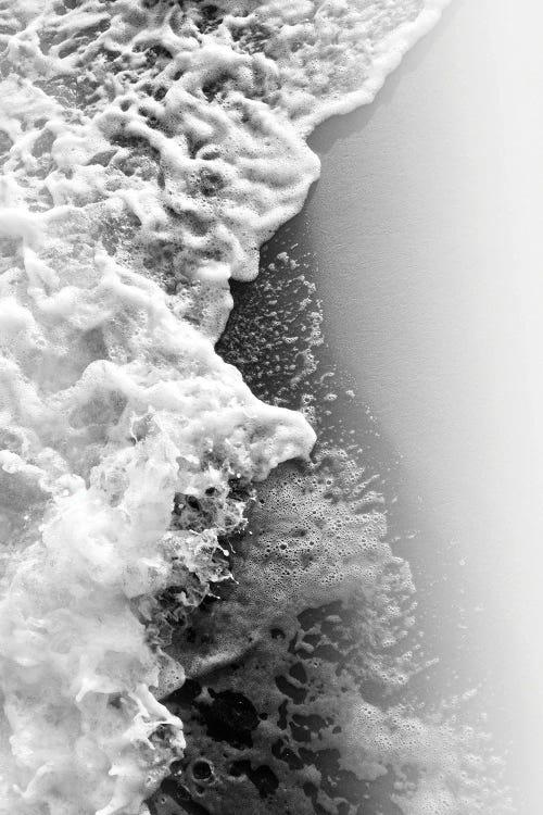 Ocean Beauty V