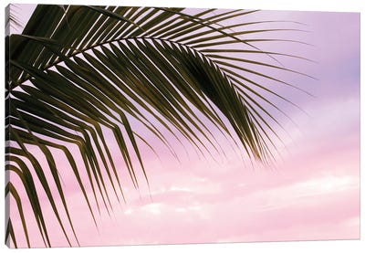Palm Leaf Dream I Canvas Art Print - Cloudy Sunset Art