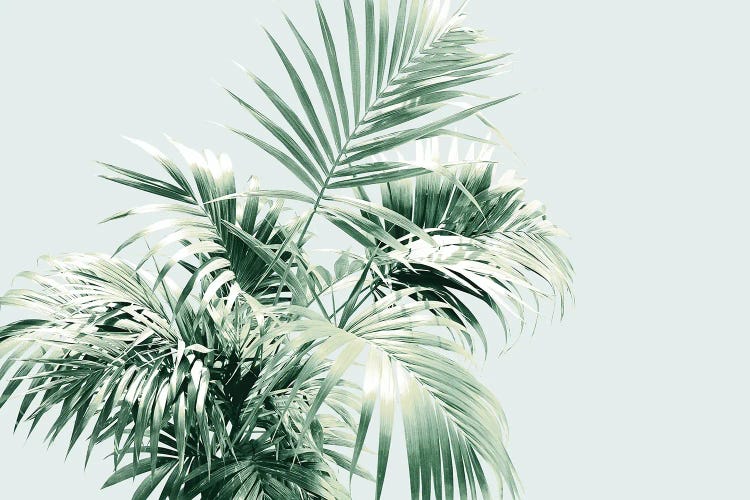 Palm Leaf Vibes I by Anita's & Bella's Art wall art