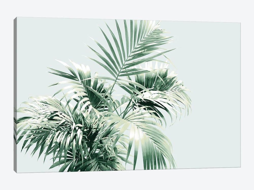 Palm Leaf Vibes I by Anita's & Bella's Art 1-piece Art Print