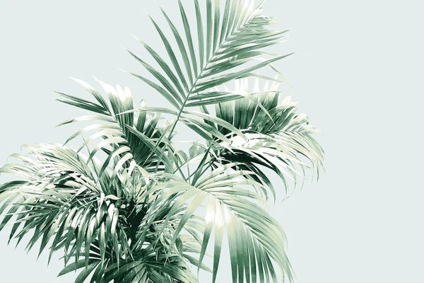 Palm Leaf Vibes I