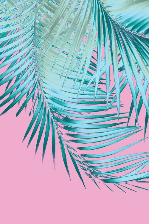 Palm Leaves Pink Blue Vibes I