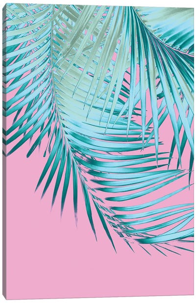 Palm Leaves Pink Blue Vibes I Canvas Art Print - Anita's & Bella's Art