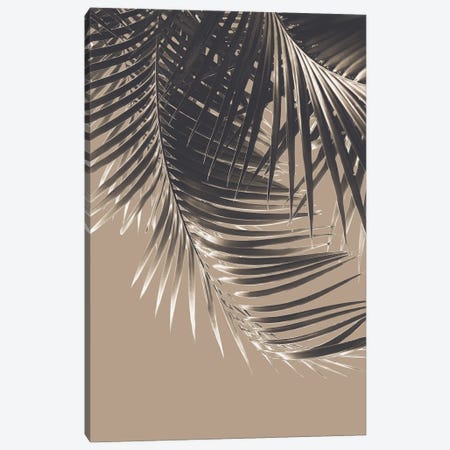 Palm Leaves Sepia Vibes II Canvas Print #ABM187} by Anita's & Bella's Art Canvas Art Print