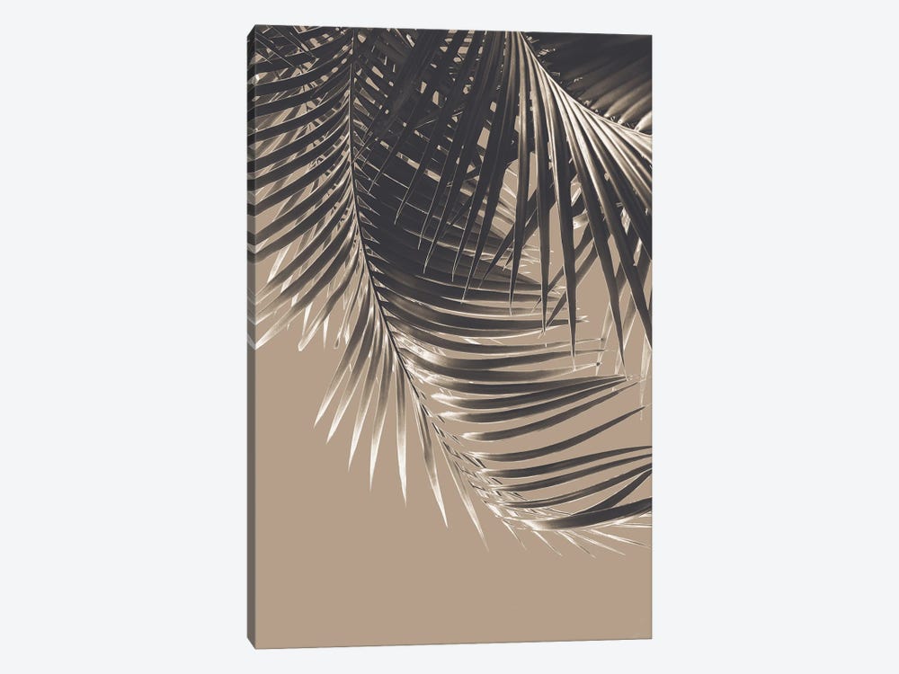 Palm Leaves Sepia Vibes II by Anita's & Bella's Art 1-piece Canvas Print