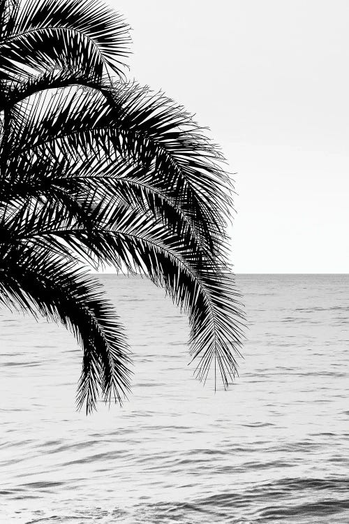 Palm Ocean Dream IV by Anita's & Bella's Art wall art
