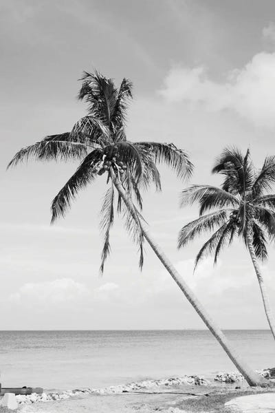 Tropical Beaches: Palm Tree Beach Oasis II by Anita's & Bella's Art