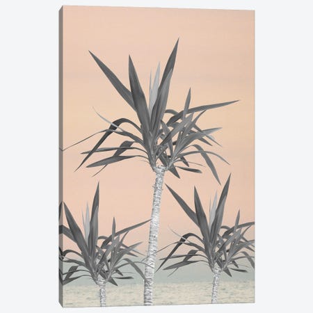 Palm Trees Cali Pastel Summer Vibes I Canvas Print #ABM191} by Anita's & Bella's Art Canvas Print