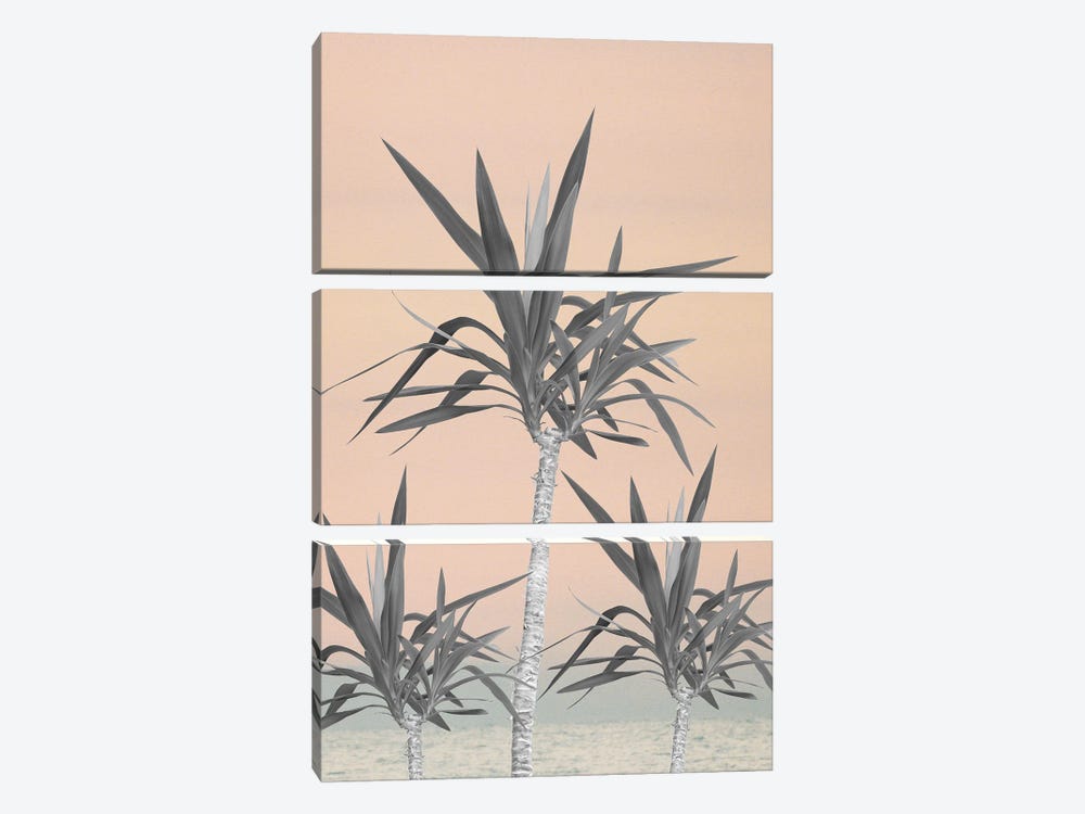 Palm Trees Cali Pastel Summer Vibes I by Anita's & Bella's Art 3-piece Canvas Wall Art