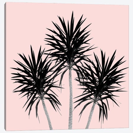 Palm Trees Cali Summer Vibes III Canvas Print #ABM192} by Anita's & Bella's Art Art Print