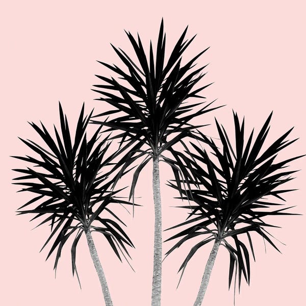 Palm Trees Cali Summer Vibes III