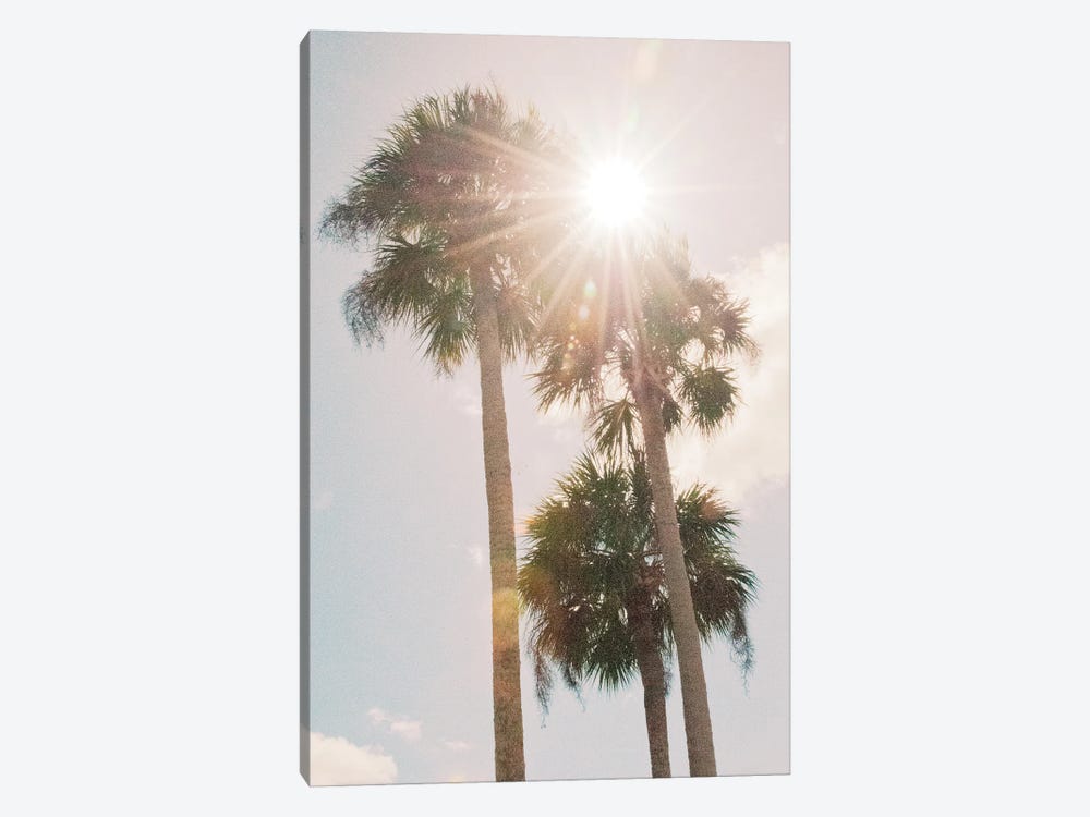 Palm Trees Vibes I by Anita's & Bella's Art 1-piece Canvas Wall Art