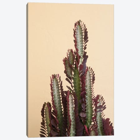 Rubra Cactus Delicado I Canvas Print #ABM214} by Anita's & Bella's Art Canvas Print