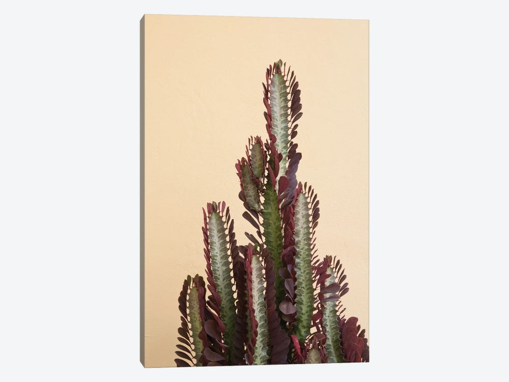 Rubra Cactus Delicado I by Anita's & Bella's Art 1-piece Art Print