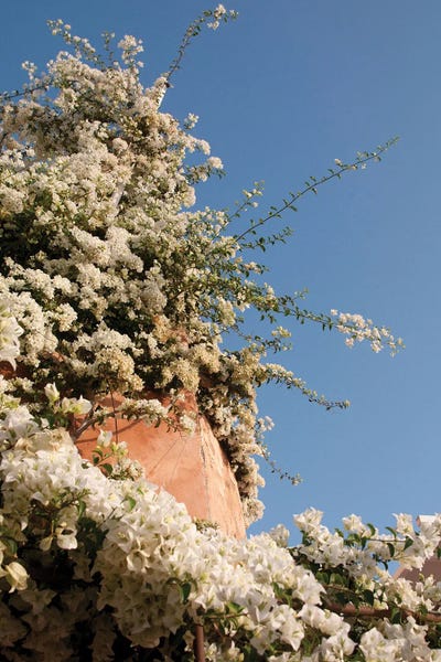 Santorini Oia Beauty II Dream