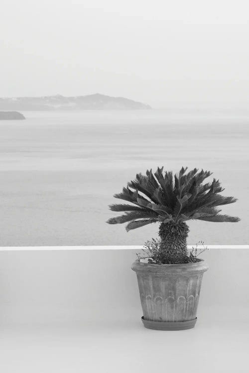 Santorini Zen Dream I Black White