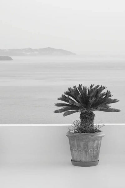 Mediterranean Décor: Santorini Zen Dream I Black White by Anita's & Bella's Art
