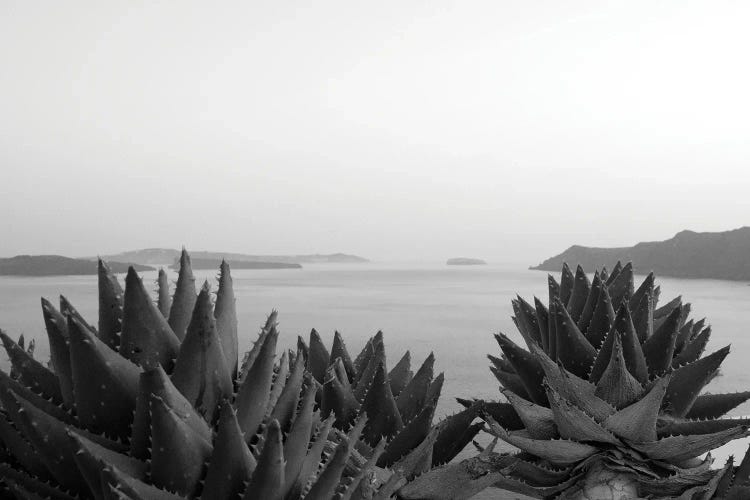 Santorini Zen Dream II Black White