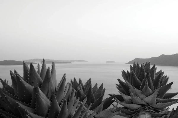Anita's & Bella's Art: Santorini Zen Dream II Black White by Anita's & Bella's Art