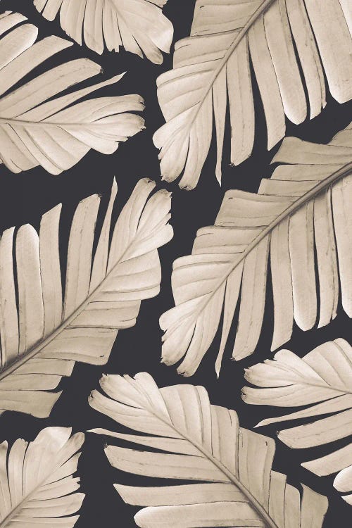 Sepia Banana Leaves Dream I