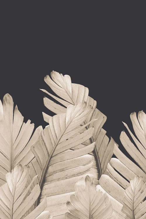 Sepia Banana Leaves Dream III