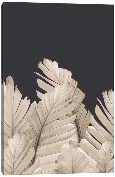 Sepia Banana Leaves Dream III Canvas Art Print - Anita's & Bella's Art