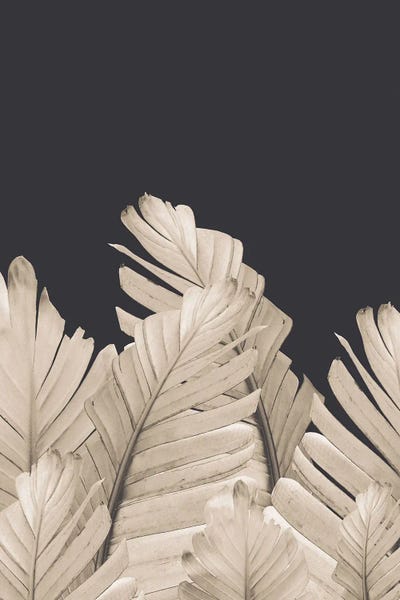 Anita's & Bella's Art: Sepia Banana Leaves Dream III by Anita's & Bella's Art