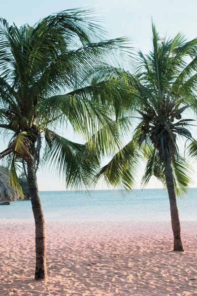 Anita's & Bella's Art: Sunset Palms Beach Vibes I by Anita's & Bella's Art