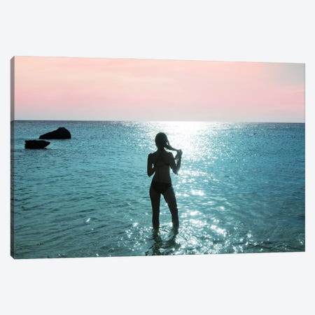 Sunset Swim I Canvas Print #ABM258} by Anita's & Bella's Art Canvas Artwork