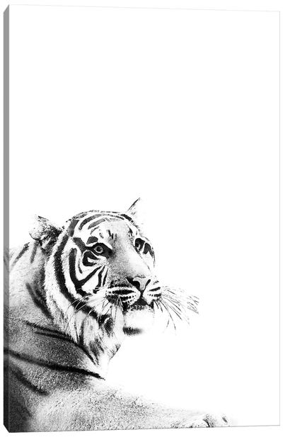 Tiger Black White I Canvas Art Print - Anita's & Bella's Art