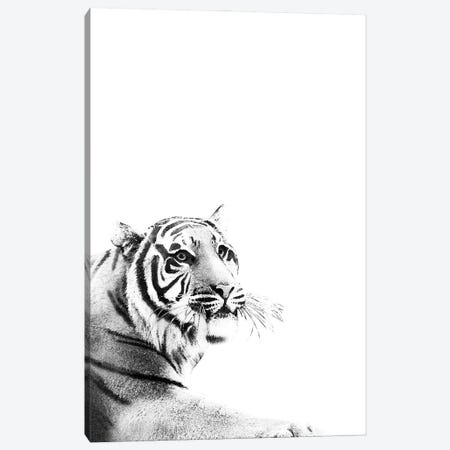 Tiger Black White I Canvas Print #ABM268} by Anita's & Bella's Art Canvas Print