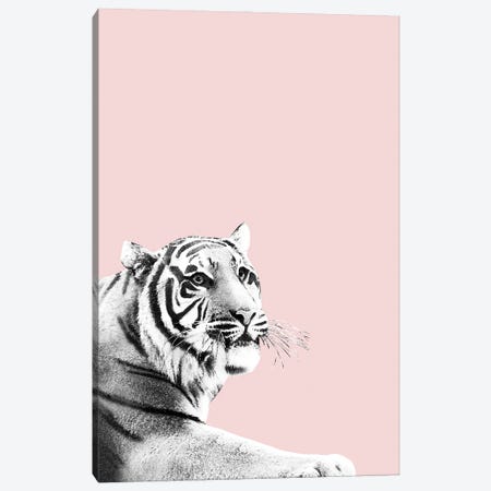 Tiger Black White On Blush I Canvas Print #ABM269} by Anita's & Bella's Art Art Print
