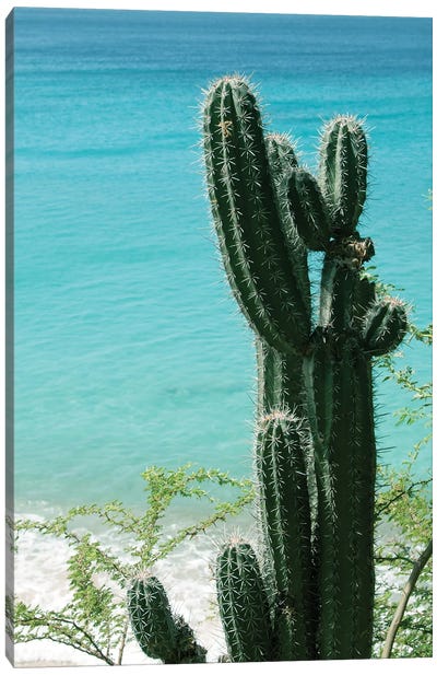 Tropical Cactus Ocean Beach Vibes II Canvas Art Print - Anita's & Bella's Art