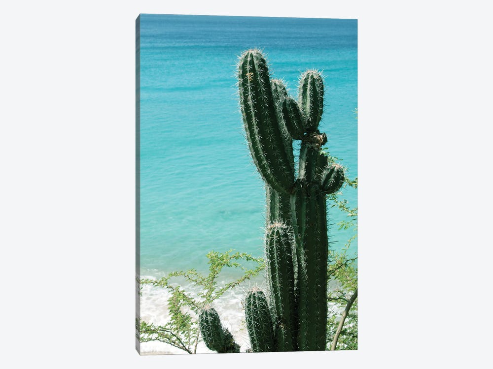 Tropical Cactus Ocean Beach Vibes II by Anita's & Bella's Art 1-piece Canvas Art Print