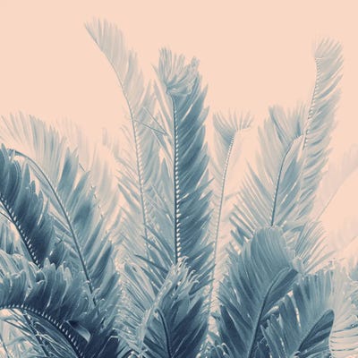 Tropical Leaves Dream IV I by Anita's & Bella's Art framed canvas print