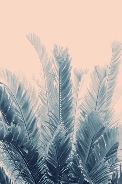 Anita's & Bella's Art: Tropical Leaves Dream IV by Anita's & Bella's Art