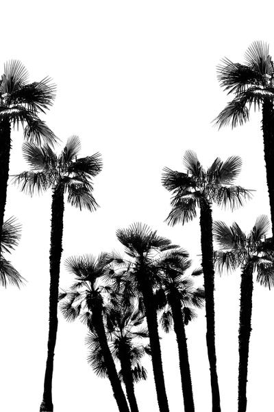Anita's & Bella's Art: Tropical Palm Trees Dream II by Anita's & Bella's Art