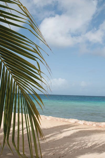 Beach Tranquility Dream I by Anita's & Bella's Art framed canvas print