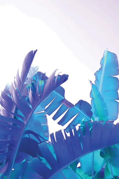 Banana Leaves Tropical Summer I by Anita's & Bella's Art framed canvas print