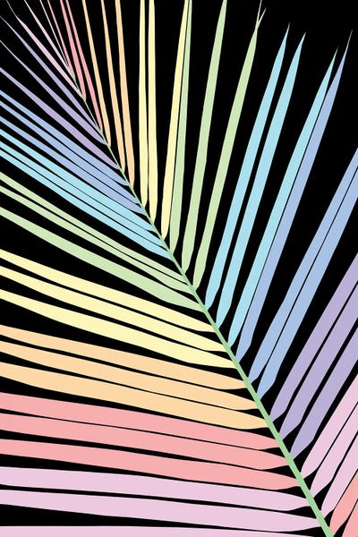 Rainbow Palm Leaf I